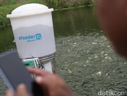 Alat Ini Bantu Petambak di Lampung Selatan Kasih Pakan Ternak Otomatis