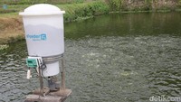 Smart autofeeder adalah perangkat yang terhubung dengan listrik dan internet (Intenet of Things atau IoT). Alat ini dioperasikan menggunakan aplikasi dari eFishery.