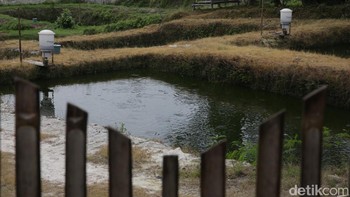 BAKTI dan eFishery mengenalkan dan menerapkan Smart autofeeder atau perangkat pakan otomatis kepada petambak ikan di Desa Bangunan, Kecamatan Palas, Kabupaten Lampung Selatan.