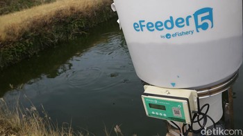 Setiap perangkat Smart autofeeder terdiri dari tabung pakan, rangka penyangga tabung, kotak kontrol, mesin dan pelontar. Alat ini dioperasikan menggunakan listrik dan internet.