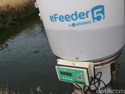 eFishery Tunjuk CEO Baru, Good Governance Jadi Fokus Utama