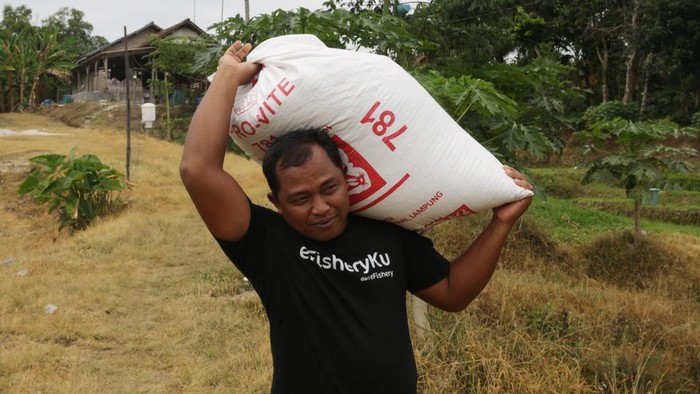 Sebelum masuk IoT yang disediakan BAKTI Komdigi dari eFishery, pembudidaya dulunya harus mengangkat karung puluhan kilo berisi pakan untuk disebar ke kolam. Tiga kolam disebutnya butuh sekitar tiga karung besar. Pemberian makan dilakukan 2-3 kali dalam satu hari.
