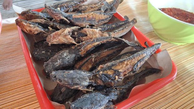 Ikan hasil tambak yang diberikan bantuan perangkat IoT eFeeder oleh BAKTI Komdigi.