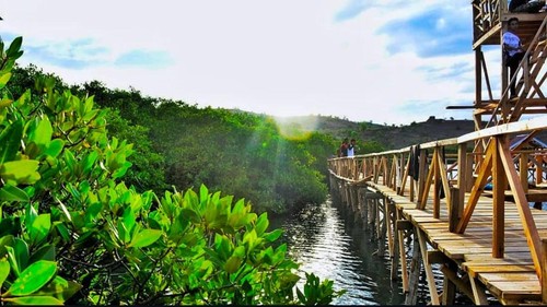 Ekowisata Mangrove Lariti di Bima, NTB. (Foto: Istimewa)