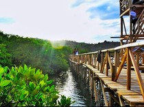 4 Rekomendasi Ekowisata Mangrove di Pulau Sumbawa NTB