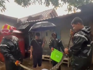 Hii! Ular Piton 2 Meter Keciduk Mangsa 2 Ayam di Kandang Pundong Bantul