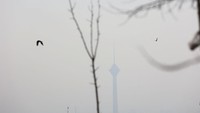 Kabut asap yang menyelimuti Menara Milad menunjukkan tingkat polusi udara yang semakin memburuk di ibu kota Iran. Foto: via REUTERS/Majid Asgaripour