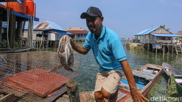 Mengubah Sotong Jadi Bisnis Camilan Renyah Nani (45) mengolah sotong menjadi cemilan di rumahnya di Desa Langara Tanjung Batu, Wawonii Barat, Sulawesi Tenggara.
