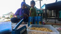 Sebagai informasi, hingga saat ini terdapat total 35 stasiun pemancar atau tower BTS yang telah dibangun di Konawe Kepulauan sejak tahun 2018 hingga 2022. Sebanyak 119 layanan BAKTI AKSI (Akses Internet) juga telah dihadirkan BAKTI Komdigi untuk mendukung pemerataan akses informasi dan teknologi bagi masyarakat Wawonii.