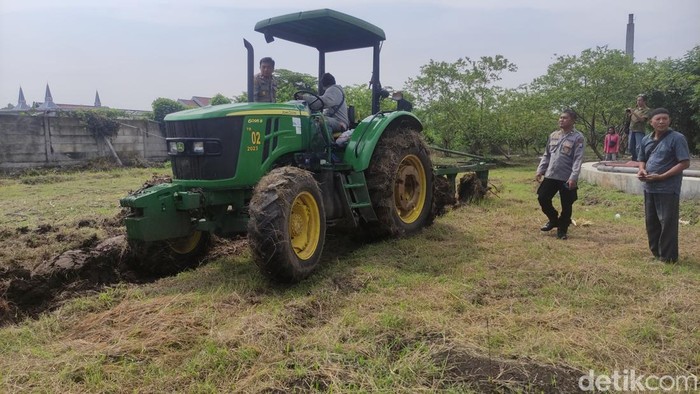 pembuatan lahan tidur dijadikan lahan produktif ditanami jagung