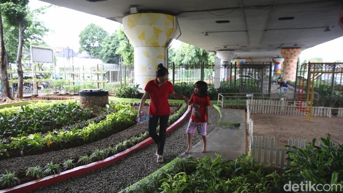 Pemprov DKI Akan Ubah Kolong Jembatan-Kolong Tol jadi Taman Pemprov DKI Jakarta berencana menyulap kolong tol atau kolong jembatan menjadi ruang terbuka hijau (RTH). Hal itu untuk mencegah munculnya pemukiman liar.