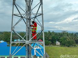Perjuangan Teknisi BTS Jaga Sinyal di Konawe Kepulauan