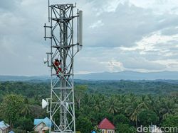 Perjuangan Teknisi BTS Jaga Sinyal di Konawe Kepulauan