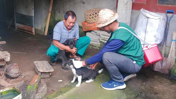 Petugas Distan PP Karangasem saat melakukan vaksinasi untuk hewan penular rabies di daerah tersebut. (Dok. Distan PP Karangasem)