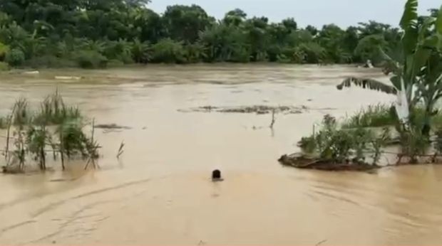 Potret Briptu Johannes Sibarani saat berenang di tengah banjir Deli Serdang untuk mengevakuasi lansia 70 tahun.