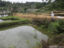 Potret Tambak Ikan dengan Alat Pakan Otomatis di Lampung Selatan