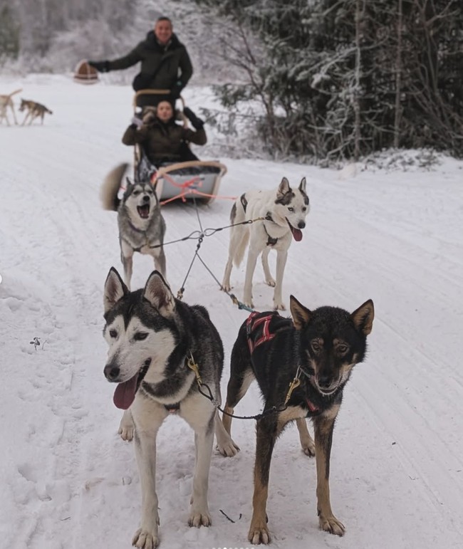 Tampak seru, Raline juga berkesempatan menaiki kereta salju yang ditarik oleh beberapa anjing husky. Terlihat Raline yang begitu menikmati momen liburannya tersebut. Foto: Instagram/@ralineshah