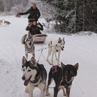 Tampak seru, Raline juga berkesempatan menaiki kereta salju yang ditarik oleh beberapa anjing husky. Terlihat Raline yang begitu menikmati momen liburannya tersebut. Foto: Instagram/@ralineshah