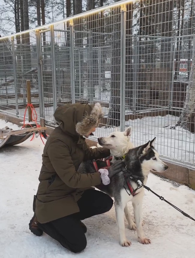 Raline juga memamerkan kedekatannya dengan beberapa husky yang menjadi penarik kereta. Dalam keterangan unggahannya Raline memang mengungkapkan jika perjalanannya ke Finlandia itu sudah direncanakan selama 11 bulan, sehingga sudah melewati berbagai persiapan yang cukup matang. Foto: Instagram/@ralineshah