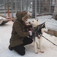 Raline juga memamerkan kedekatannya dengan beberapa husky yang menjadi penarik kereta. Dalam keterangan unggahannya Raline memang mengungkapkan jika perjalanannya ke Finlandia itu sudah direncanakan selama 11 bulan, sehingga sudah melewati berbagai persiapan yang cukup matang. Foto: Instagram/@ralineshah