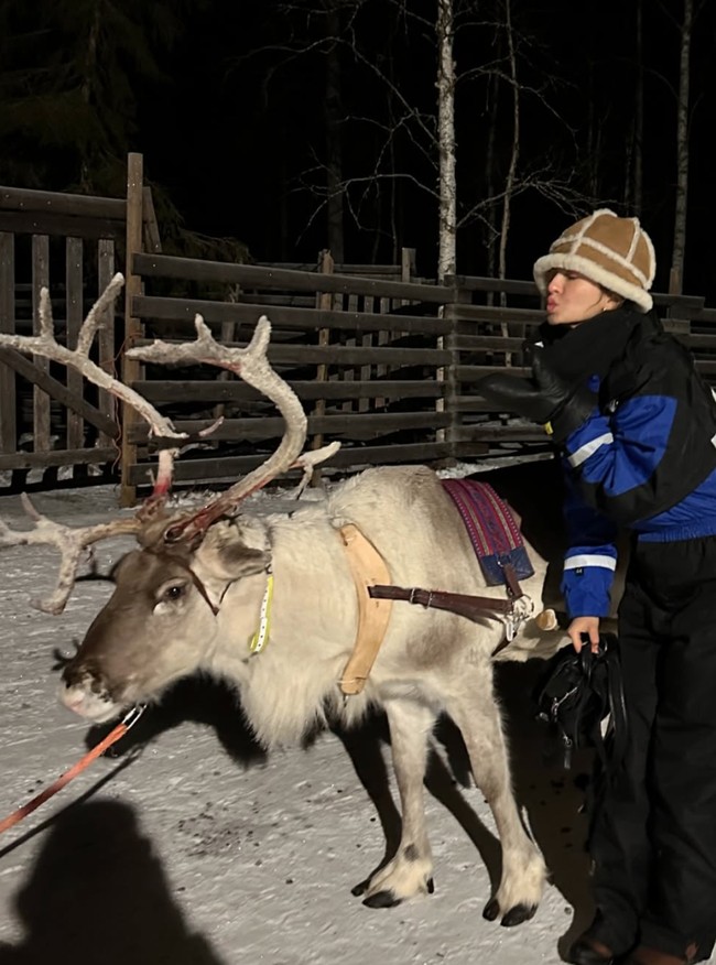 Demi mencari aurora, Raline juga sempat mengendarai raindeer sleigh. Pengalaman yang tak terlupakan jalan pada tengah malam lewat hutan ke lapangan es yang luas dengan langit penuh bintang menunggu Aurora Borealis yang indah, tulis Raline. Foto: Instagram/@ralineshah