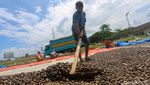 Raup Cuan dari Bisnis Kacang Mete