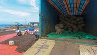 Sebagai informasi, hingga saat ini terdapat total 35 stasiun pemancar atau tower BTS yang dibangun di Konawe Kepulauan sejak tahun 2018 hingga 2022. Sebanyak 119 layanan BAKTI AKSI (Akses Internet) juga telah dihadirkan BAKTI Komdigi dalam mendukung pemerataan akses informasi dan teknologi. 
