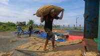 Namun sejak hadirnya internet, kini mereka bisa langsung berkomunikasi dengan para tengkulak melalui aplikasi WhatsApp. 