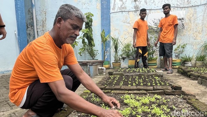 Seorang deteni asal Bangladesh saat berkebun di Rudenim Medan. (Kartika Sari/detikSumut)
