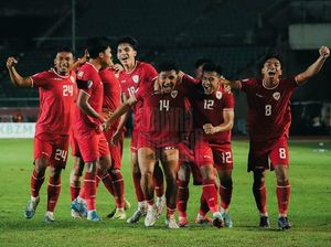 Kata Bojan Hodak Soal Peluang Timnas Indonesia di Piala AFF 2024