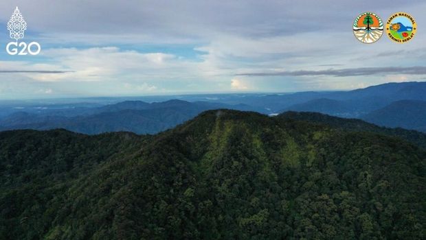 Taman Nasional Kerinci Seblat Taman Nasional Kerinci Seblat