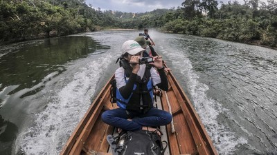 Piyau Jadi Transportasi Utama Kawasan Suaka Margasatwa Bukit Rimbang Bukit Baling