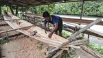 Piyau Jadi Transportasi Utama Kawasan Suaka Margasatwa Bukit Rimbang Bukit Baling
