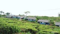 Perkampungan rumah biru Cibuni Estate.