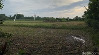Selain itu, Imah Urang Eco Park juga mengajak pengunjung untuk membatik dengan teknik cap. Tak hanya menyenangkan, kegiatan ini juga mengajarkan pentingnya daur ulang, karena bahan-bahan yang digunakan berasal dari limbah yang didaur ulang. (Asti Azhari/detikTravel)