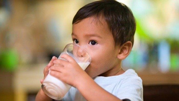 Ilustrasi Minum Susu