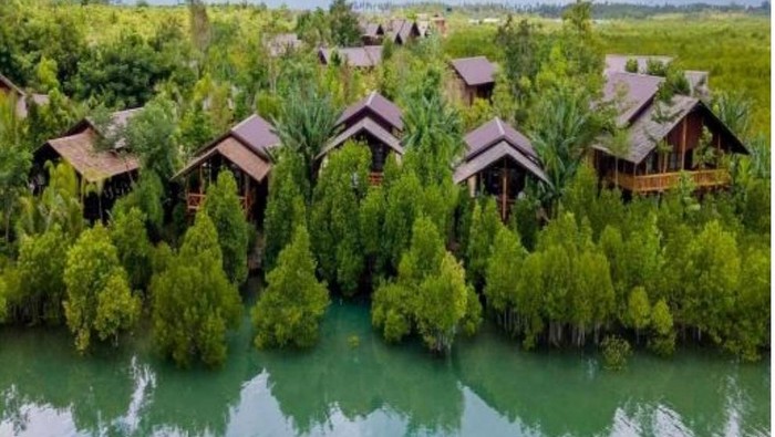Ilustrasi wisata mangrove (dok. Istimewa)
