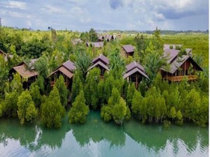Iklim, Mangrove dan Dekolonialisasi Pengetahuan