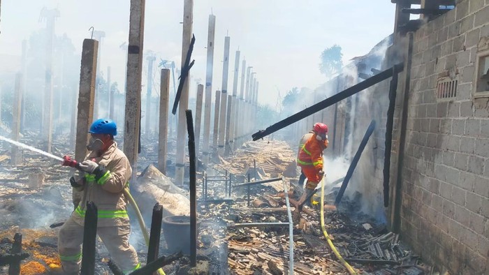 Kebakaran kandang ayam di Blitar
