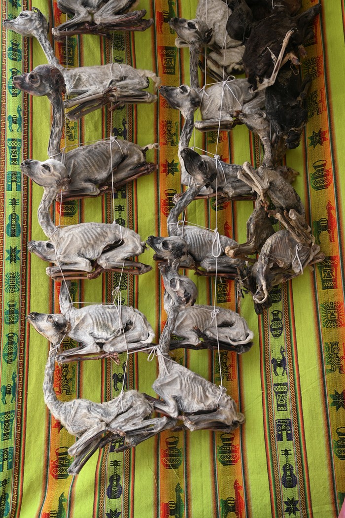 Dried llama fetuses are displayed for sale as part of the offerings made in houses, locally known as 'suicide homes,' dwellings built on the edge of an earth cliff and often serving as workplaces for Aymara shamans, in El Alto, Bolivia December 4, 2024. REUTERS/Claudia Morales