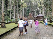Video: Kunjungan Wisata Sangeh Diprediksi Capai 2 Kali Lipat saat Long Weekend