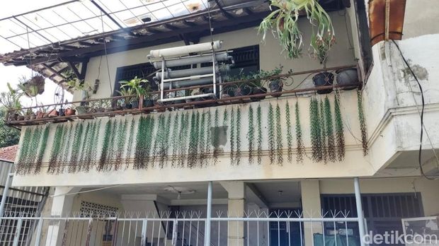 Penampakan rumah bersalin duo bidan penjual bayi di Jogja, Jumat (13/12/2024).