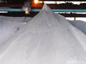 Bahlil Sebut Freeport Belum Ajukan Perpanjangan Izin Ekspor Konsentrat Tembaga