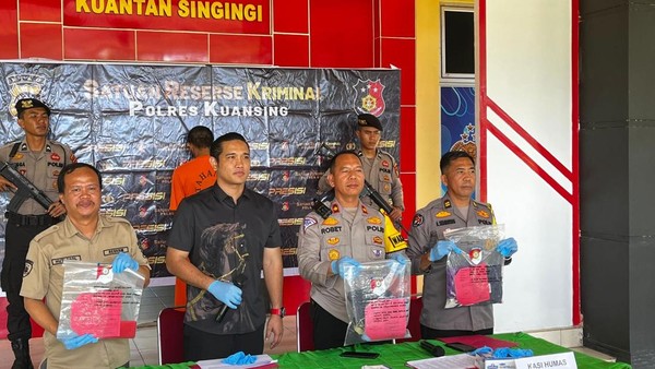 kecil porno anak 1 