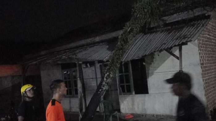 Rumah warga di Lubuklinggau rumah usai ditimpa pohon tumbang akibat puting beliung