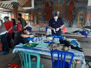 Vaksinasi Rabies di Klungkung Baru Capai 45 Persen