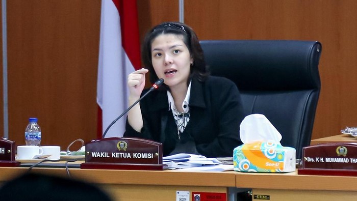 Wakil Ketua Komisi E DPRD DKI Jakarta Agustina Hermanto (Tina Toon)