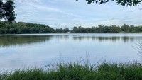 Danau KIIC (Karawang International Industrial City), begitu warga setempat mengenalnya. Danau ini adalah destinasi favorit untuk nongkrong bagi karyawan di kawasan itu dan siswa sekolah di sekitarnya. (Asti Azhari/detikTravel)
