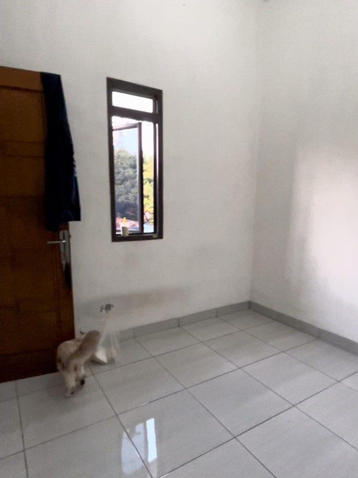 Kontrakan 3 Petak Mewah Kontrakan 3 Petak Mewah