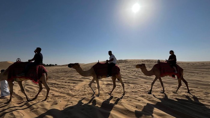 Naik Unta di Abu Dhabi Naik Unta di Abu Dhabi